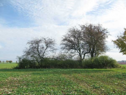 Bild 2 von Hügelgrab bei Dahl